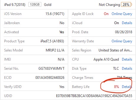 iPad Battery Lifetime Healthy