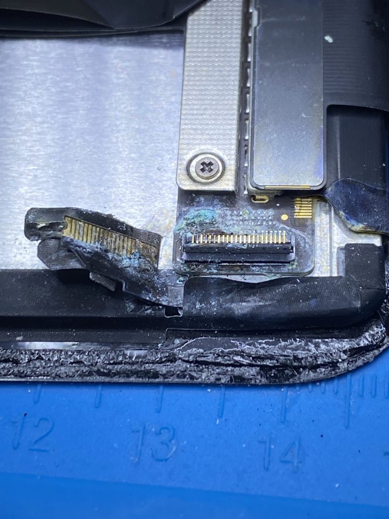 iPad Pro Screen Water Damaged